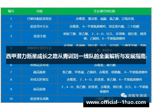 西甲潜力新星成长之路从青训到一线队的全面解析与发展指南 西甲潜力新星成长之路从青训到一线队的全面解析与发展指南