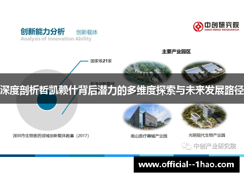 深度剖析哲凯赖什背后潜力的多维度探索与未来发展路径